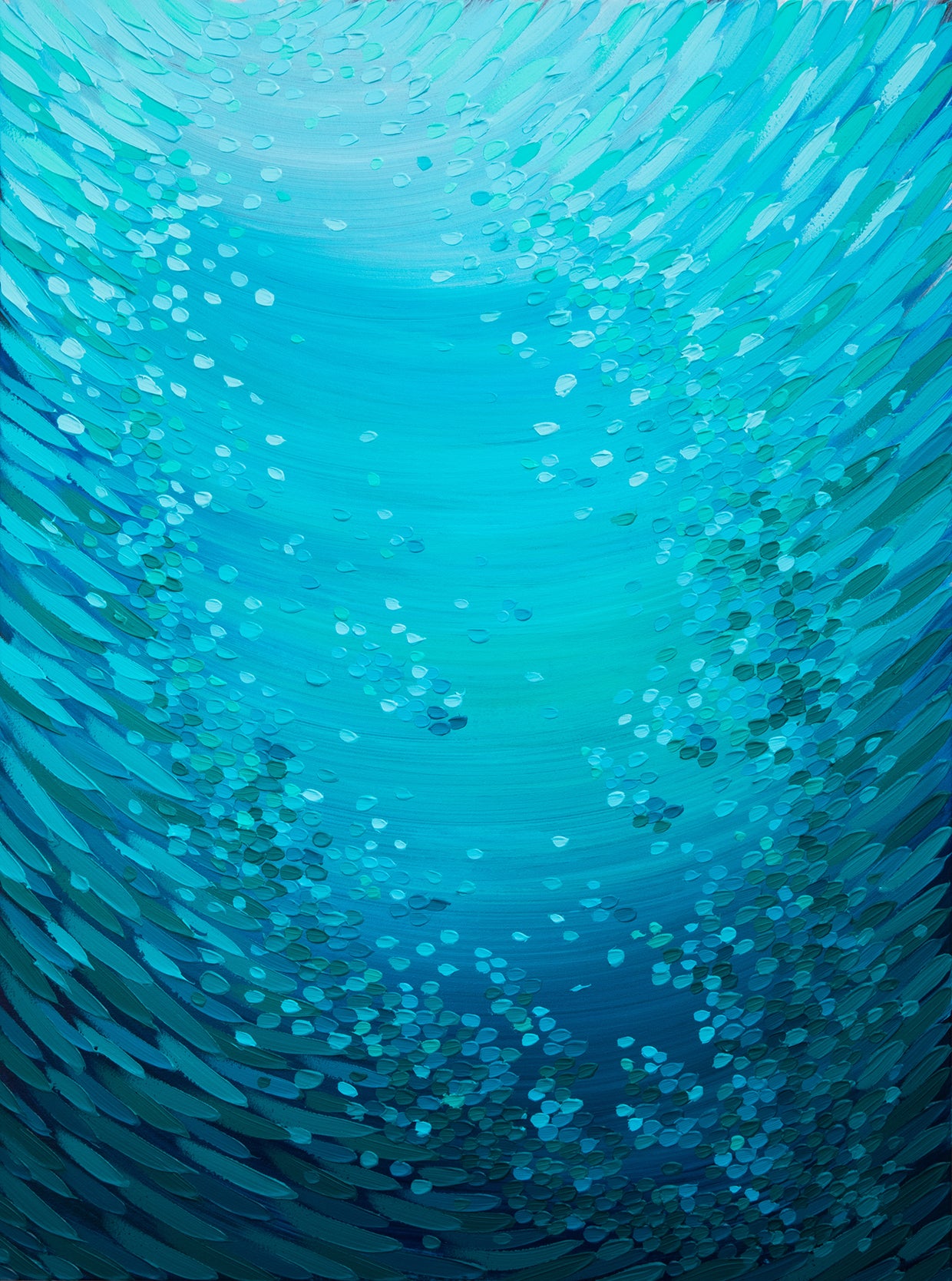Morning Dive